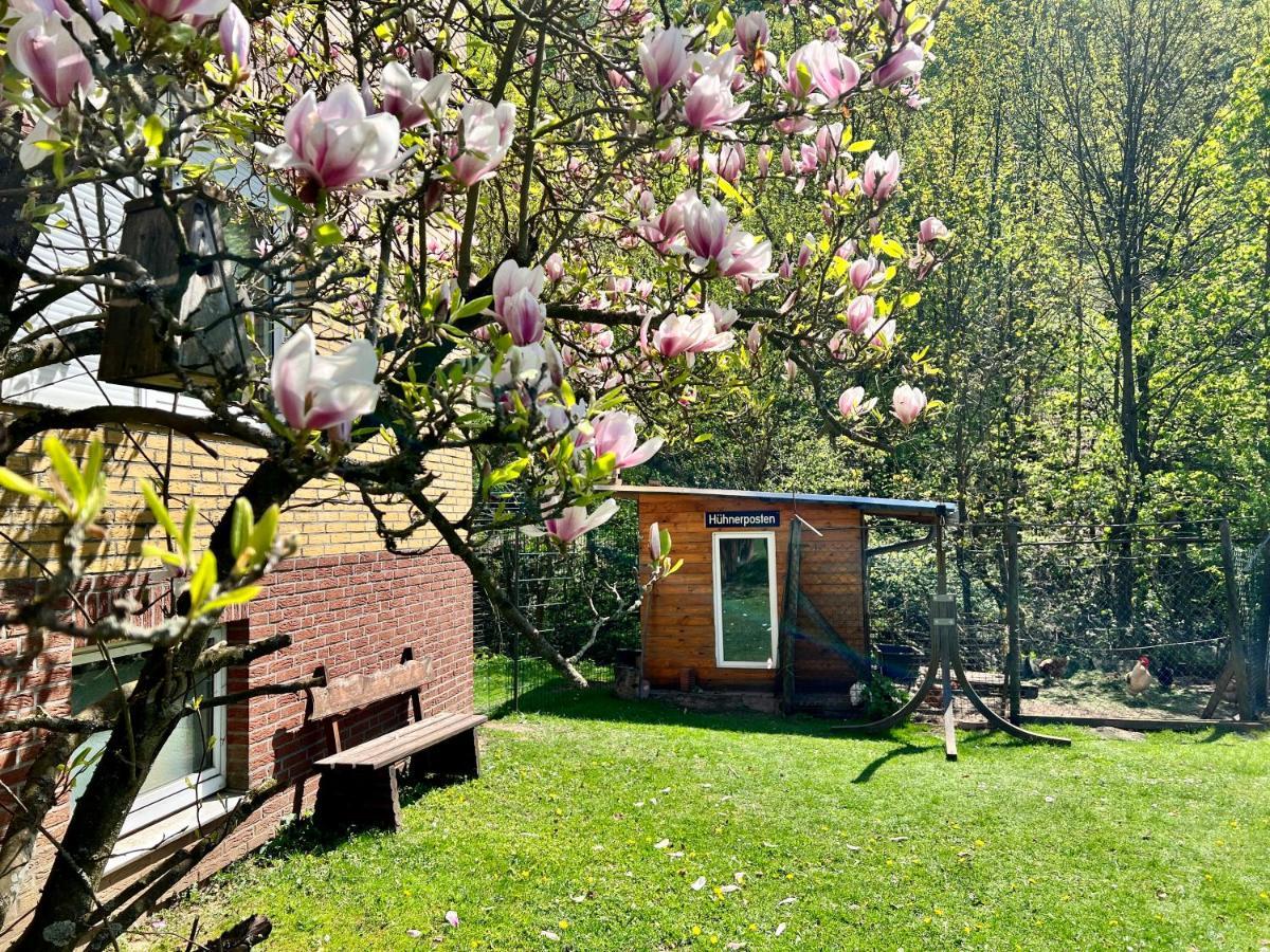 Vor Lauter Baeumen B&B Zorge Екстер'єр фото