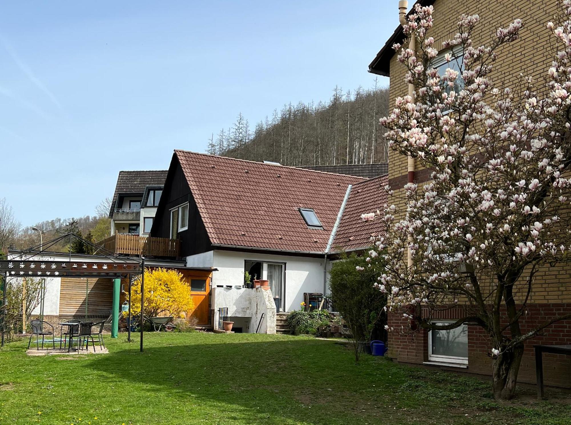 Vor Lauter Baeumen B&B Zorge Екстер'єр фото