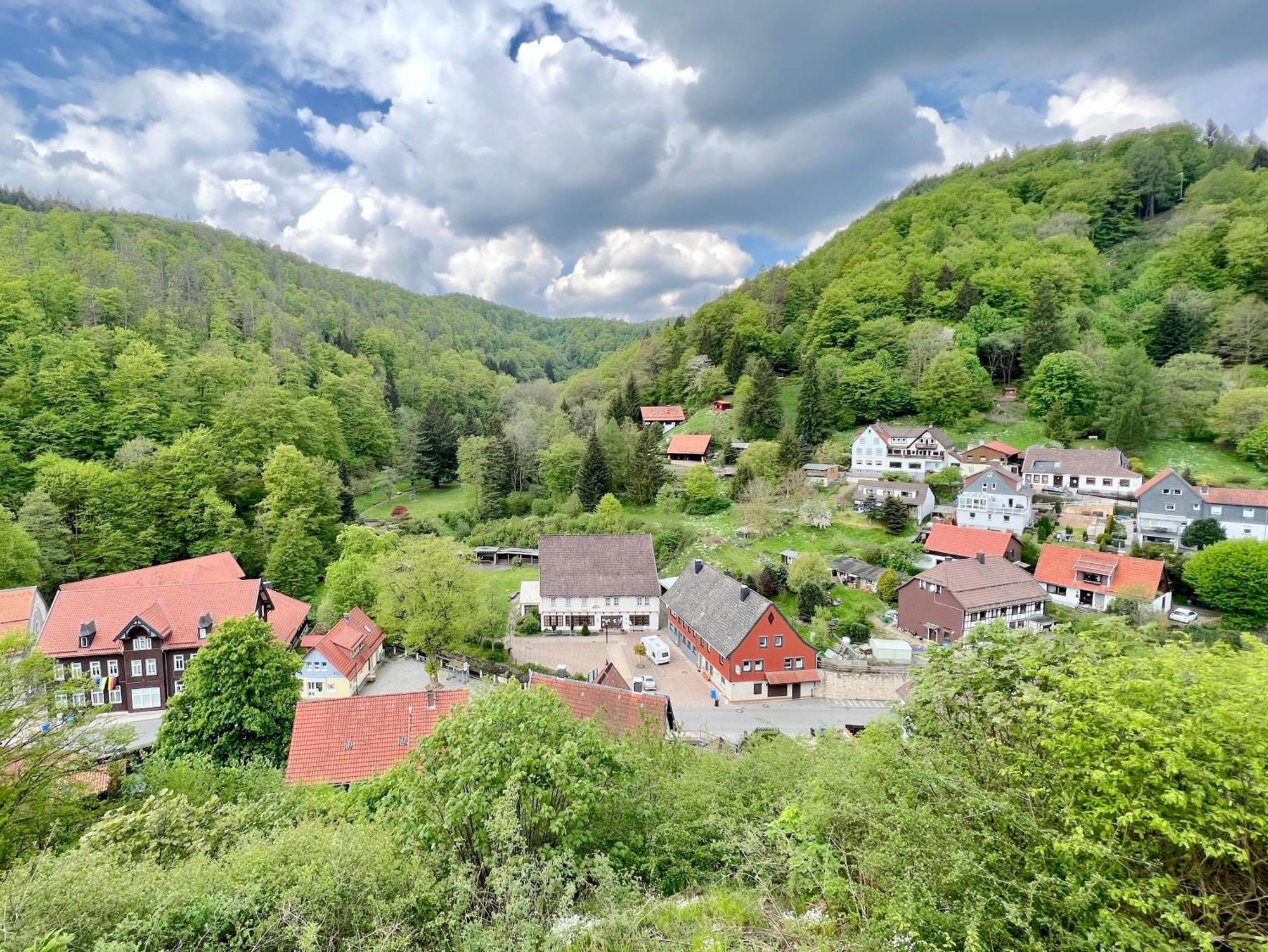 Vor Lauter Baeumen B&B Zorge Екстер'єр фото