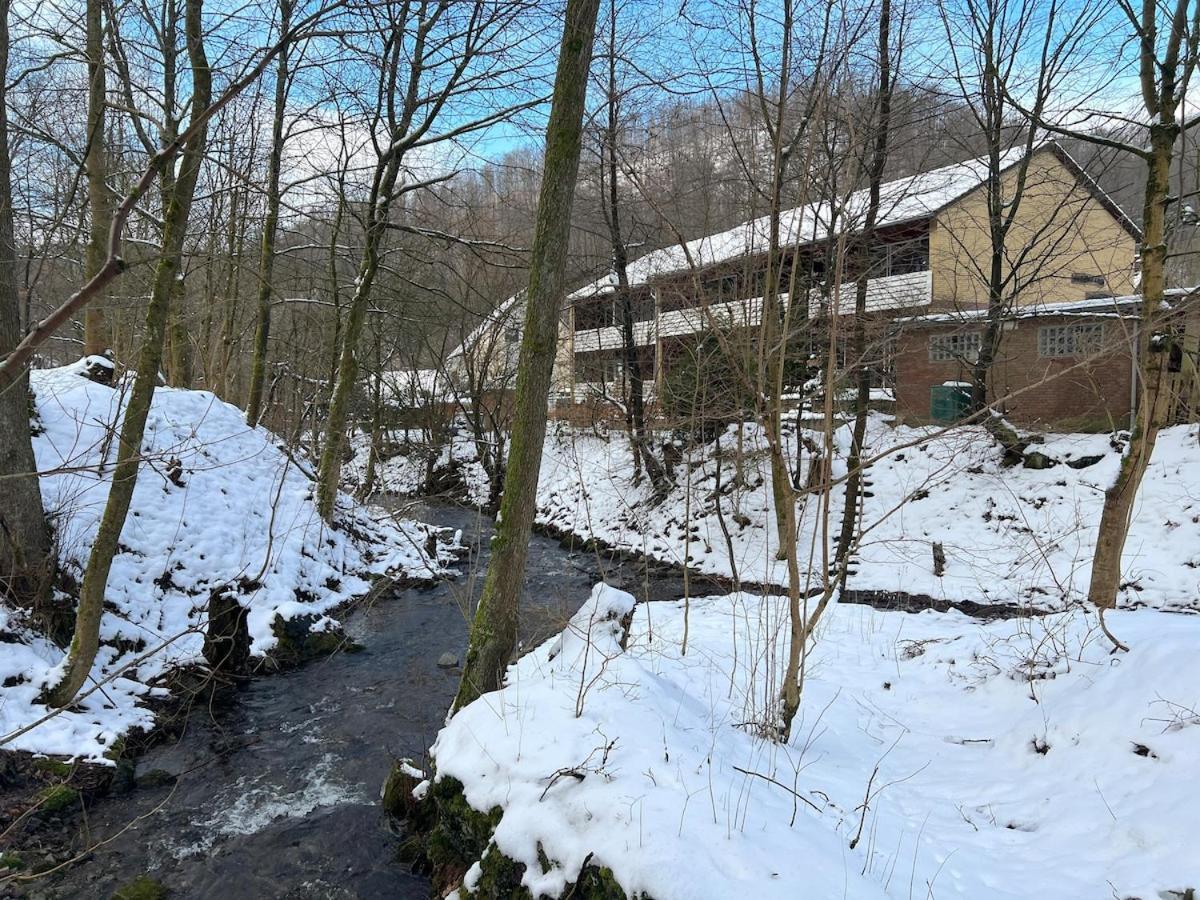 Vor Lauter Baeumen B&B Zorge Екстер'єр фото
